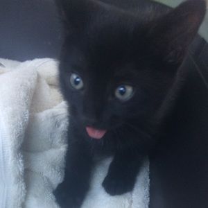 Meet your Posher, Hannah